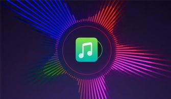 爆料音乐视频大全播放,揭秘爆料大全中的热门曲目